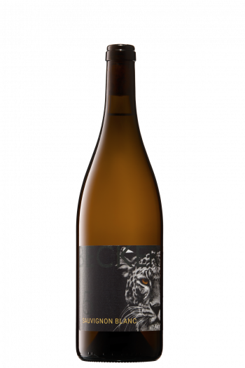 Sauvignon Blanc Holzfass - Rheinhessen